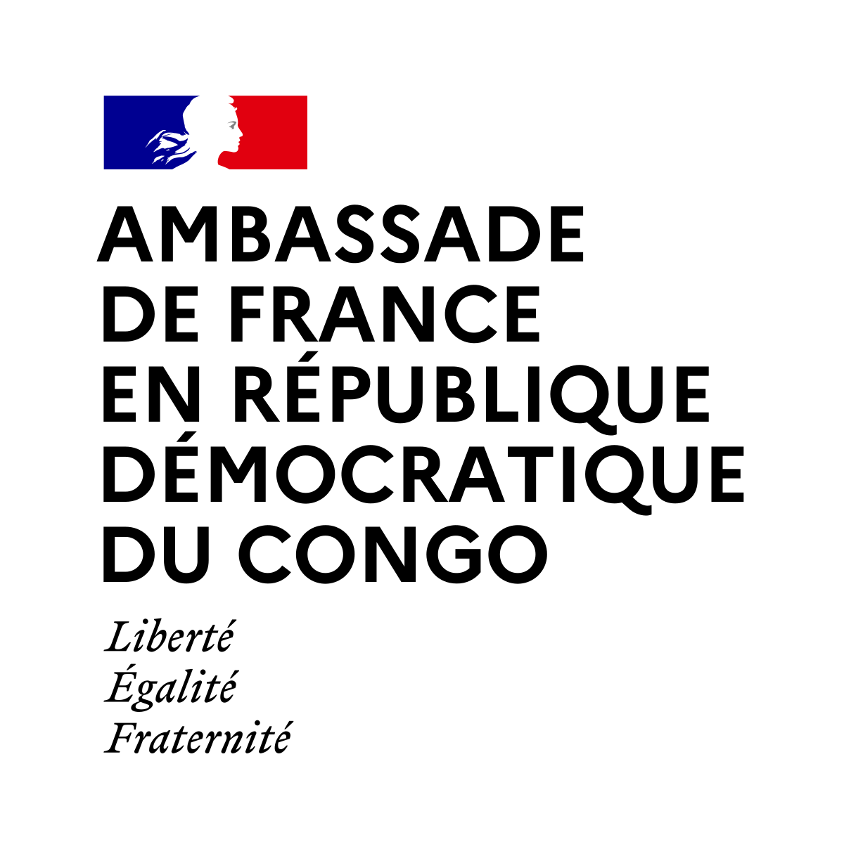 Ambassade company logo