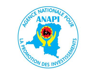 Anapi company logo