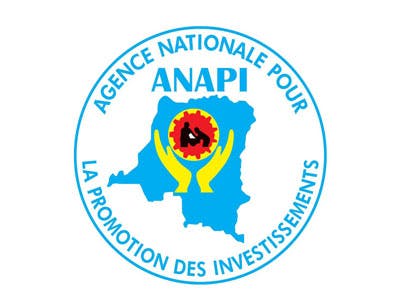 Anapi company logo